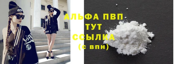 PSILOCYBIN Балабаново