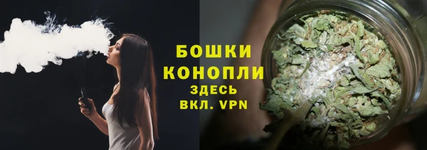 PSILOCYBIN Балабаново