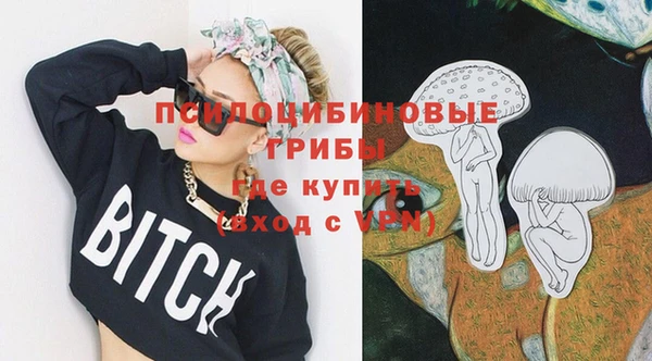 PSILOCYBIN Балабаново