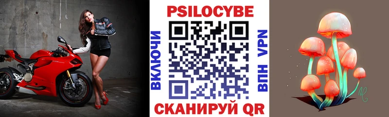 OMG tor  Тимашёвск  Галлюциногенные грибы ЛСД 